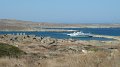 Delos 39